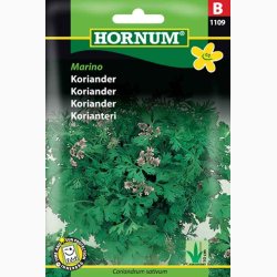 Koriander, Marino (min. 60 fr)