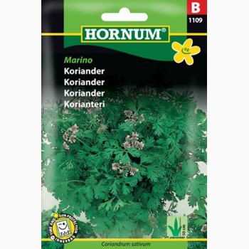 Koriander, Marino (min. 60 fr)