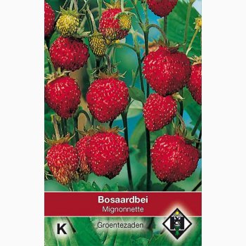 Skovjordbrfr Fragaria Vesca Mignonnette- Skovjordbr (60 fr)