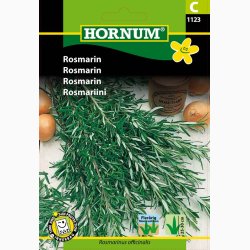 Rosmarin officinalis - Rosmarin (min. 20 fr)