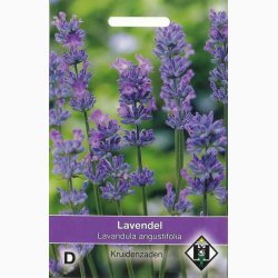 Lavandula augustifolia (V)- gte lavendel (ca. 200 fr)