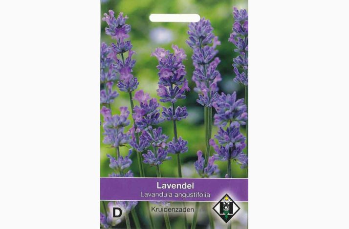 Lavandula augustifolia (V)- gte lavendel